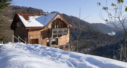 Pool Wellness Chalet Sunshine