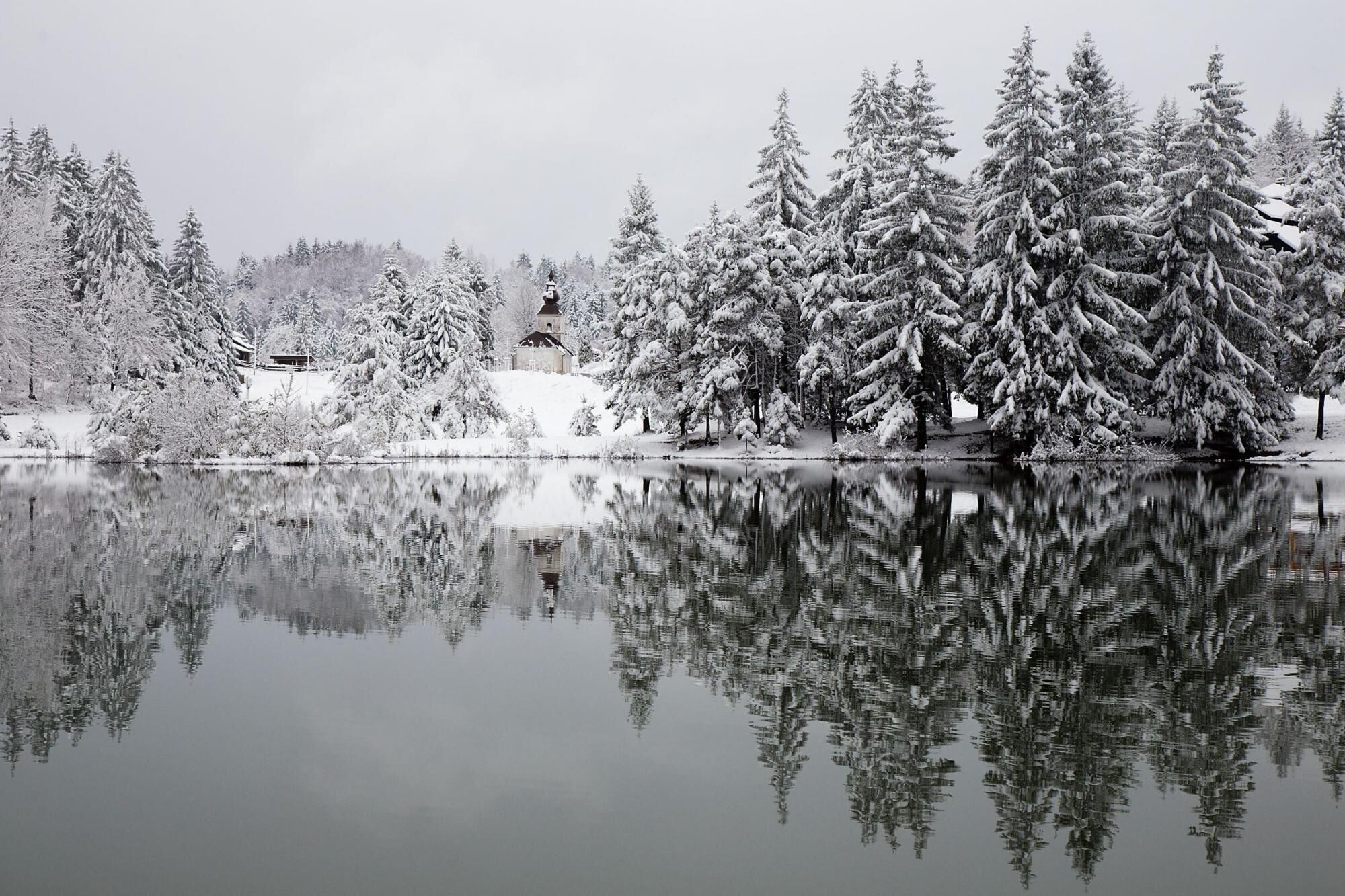 A serene winter scene with snow-covered trees and a calm lake reflecting the trees.