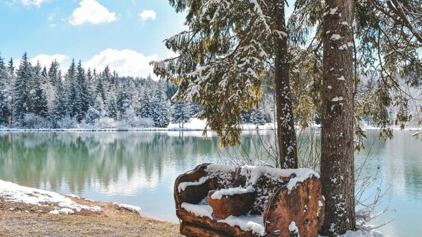 A serene winter landscape with a lake, snow-covered trees, and a large log near the water's edge. - Pool House Mr ek Family Friendly (Bloke)