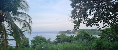 A grassy area with a fence, a bench, and a view of the sea and distant buildings.