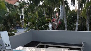 Piscina rectangular con borde blanco e interior azul, rodeada por un muro blanco y palmeras.