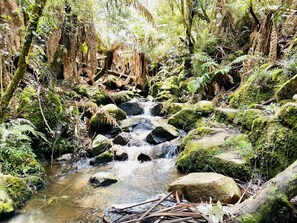 Terrain de l’hébergement 
