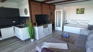 Ein kompakter Wohnbereich mit Küchenzeile, einem Bett und einer Schlafcouch.
