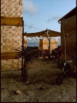 Outdoor dining - Camp - Santos (Todos Santos)