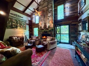 Smart TV, fireplace, DVD player, books