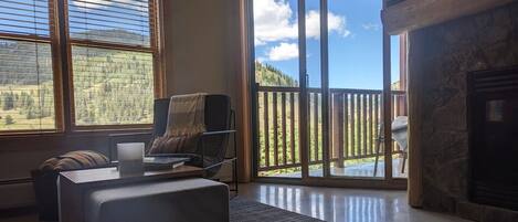 TV connectée, cheminée