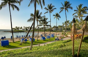 Un resort en la playa con palmeras, tumbonas y vistas al océano.