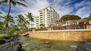 Un resort con una piscina cristalina, palmeras y un puente de piedra.