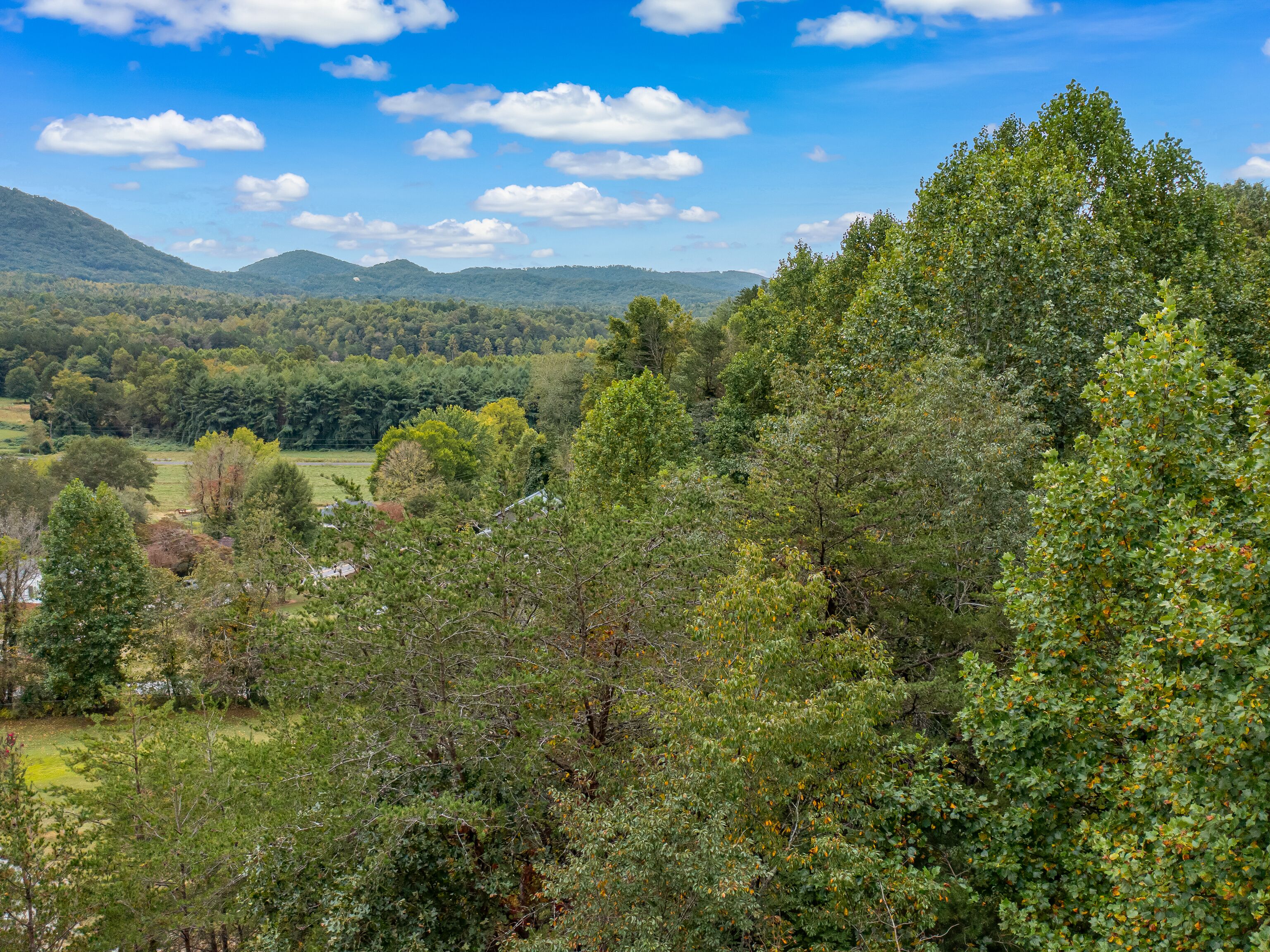 Eine gebirgige Landschaft mit dichtem Wald und blauem Himmel.