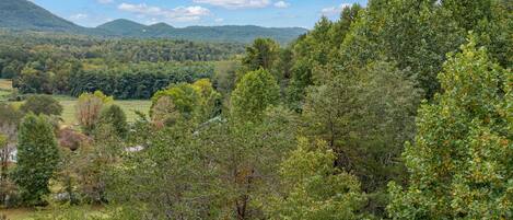 Eine gebirgige Landschaft mit dichtem Wald und blauem Himmel.