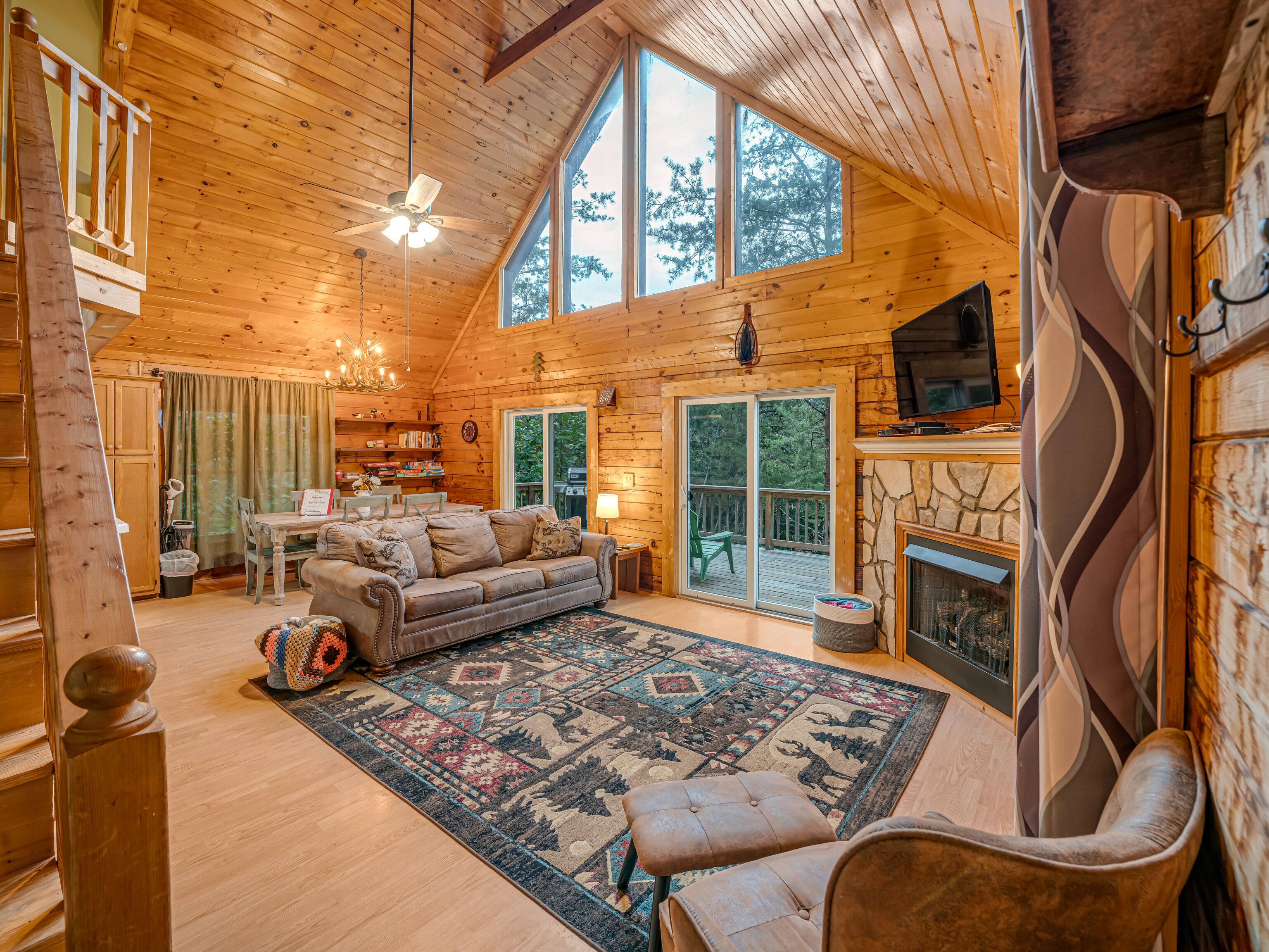 TV, fireplace, books