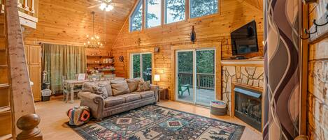 TV, fireplace, books