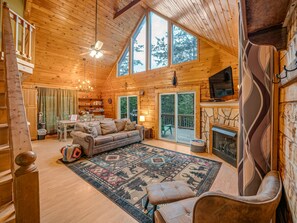 TV, fireplace, books