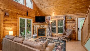 Una televisión, una chimenea, libros