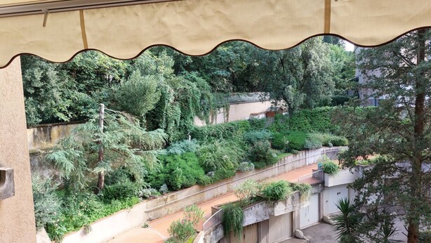 Vistosa vista d'un jardí exuberant amb un camí, una paret de formigó i un edifici amb un balcó.