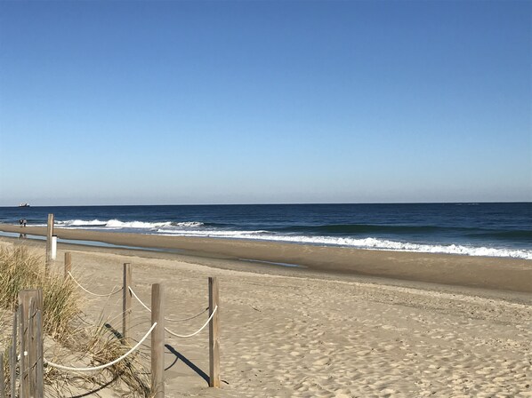 Playa en los alrededores 