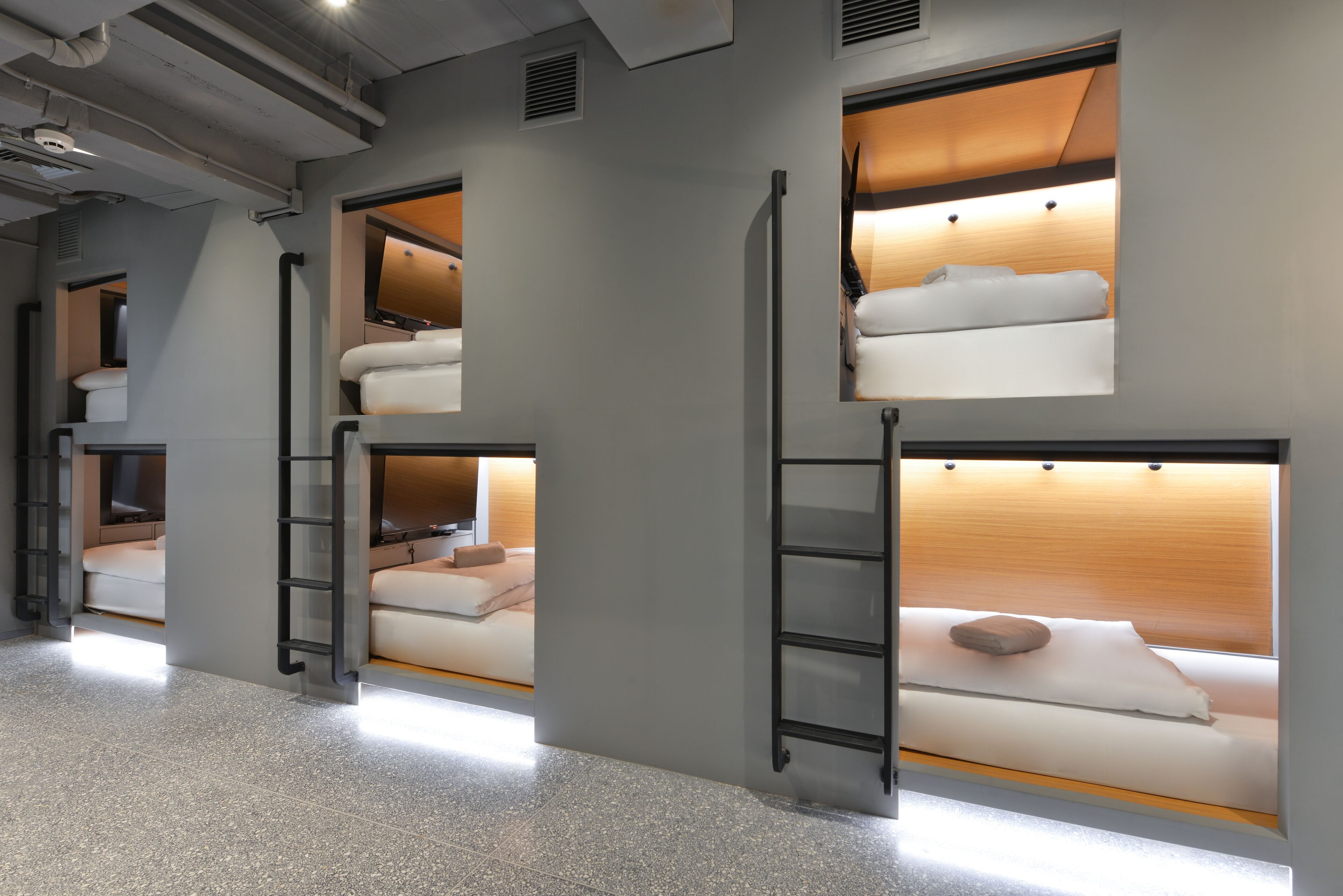 A modern hotel room with bunk beds, built-in shelves, and a ladder.
