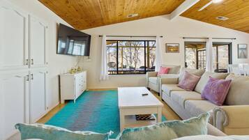 Smart TV, fireplace, table tennis, books