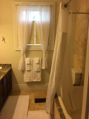 Bathtub, hair dryer, soap, shampoo