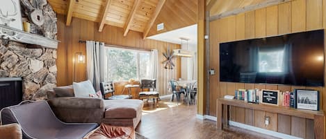 TV, fireplace, video-game console, books