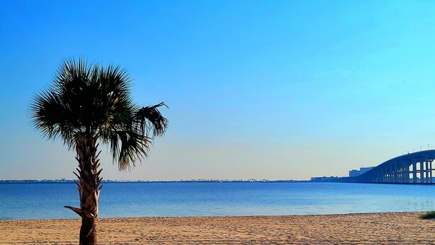 Een strand met een palmboom en een brug op de achtergrond.