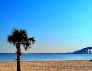 Ein Strand mit einer Palme und einer Brücke im Hintergrund.