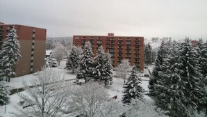 Un immeuble à plusieurs étages, doté d’une façade rouge et d’un toit plat, entouré d’arbres couverts de neige.