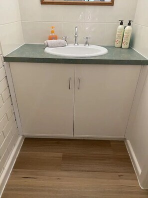 Chuveiro, secador de cabelo, toalhas de banho, sabonete