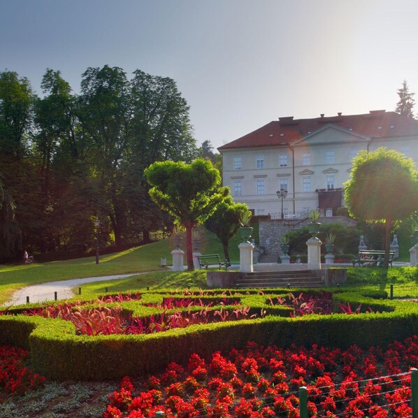 1 habitación y acceso a internet 