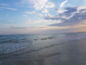 Nära stranden