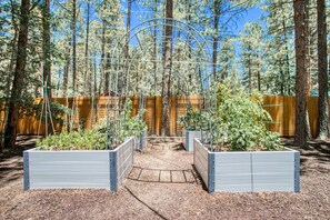 A garden with raised beds and a trellis structure amidst tall trees.