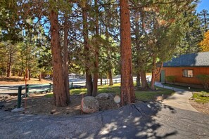 A forested area with a paved walkway, a wooden building, and a green bench.