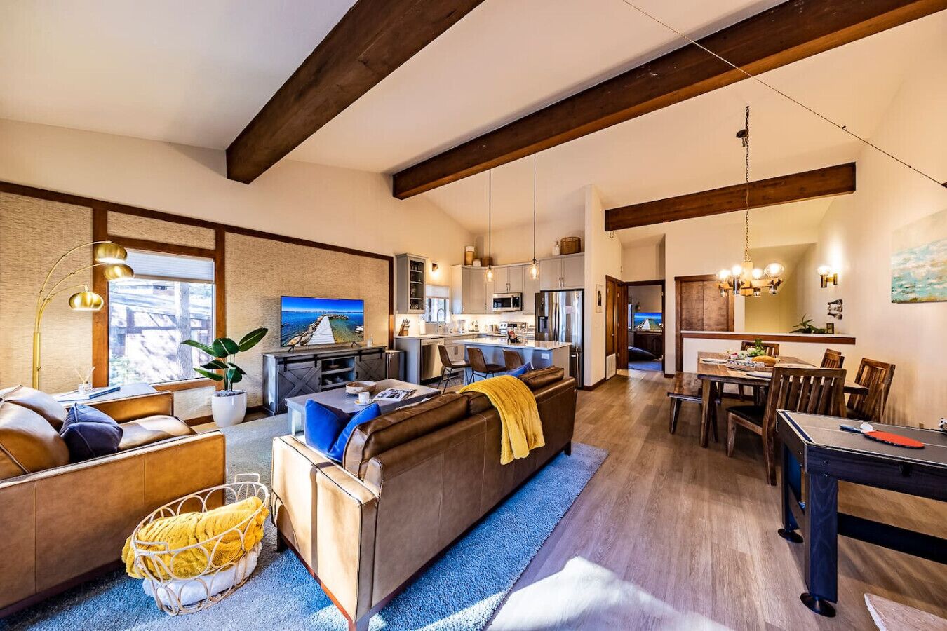 TV, fireplace, video games, ping pong