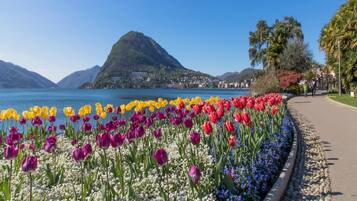 Departamento | 1 habitación y internet