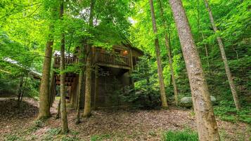 House, Multiple Beds (Park Paradise #254) | Exterior