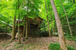 House, Multiple Beds (Park Paradise #254) | Exterior - Park Paradise #254 (Sevierville)