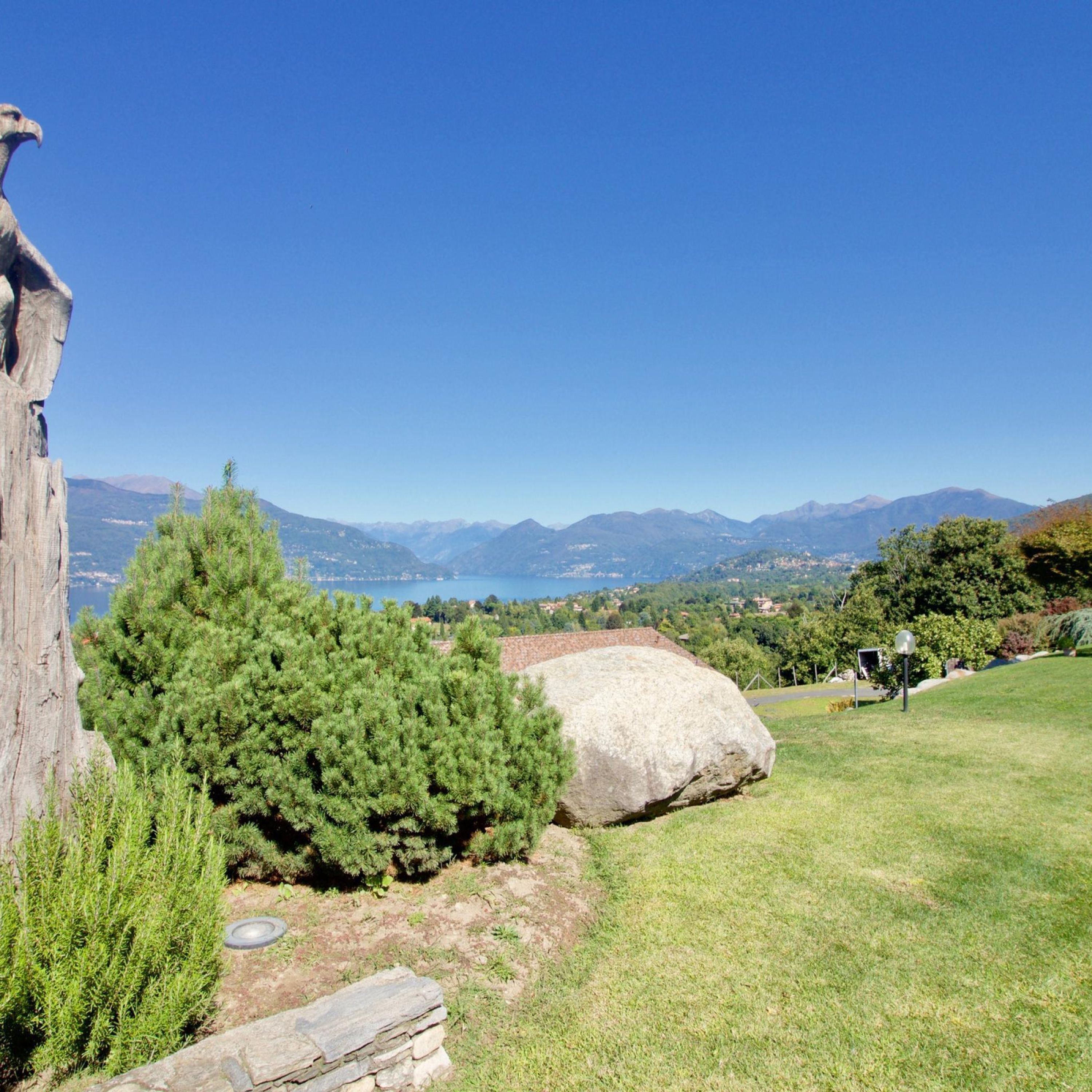 A grassy area with a large rock, a pine tree, and a stone wall.