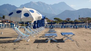 A beach with rows of sun loungers and a large umbrella providing shade.