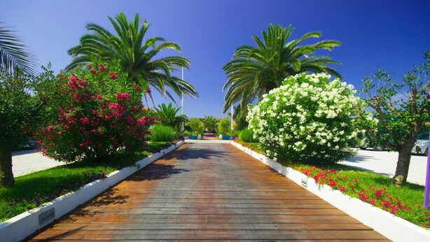 A wooden pathway flanked by lush greenery and flowering plants, leading towards a clear blue sky.