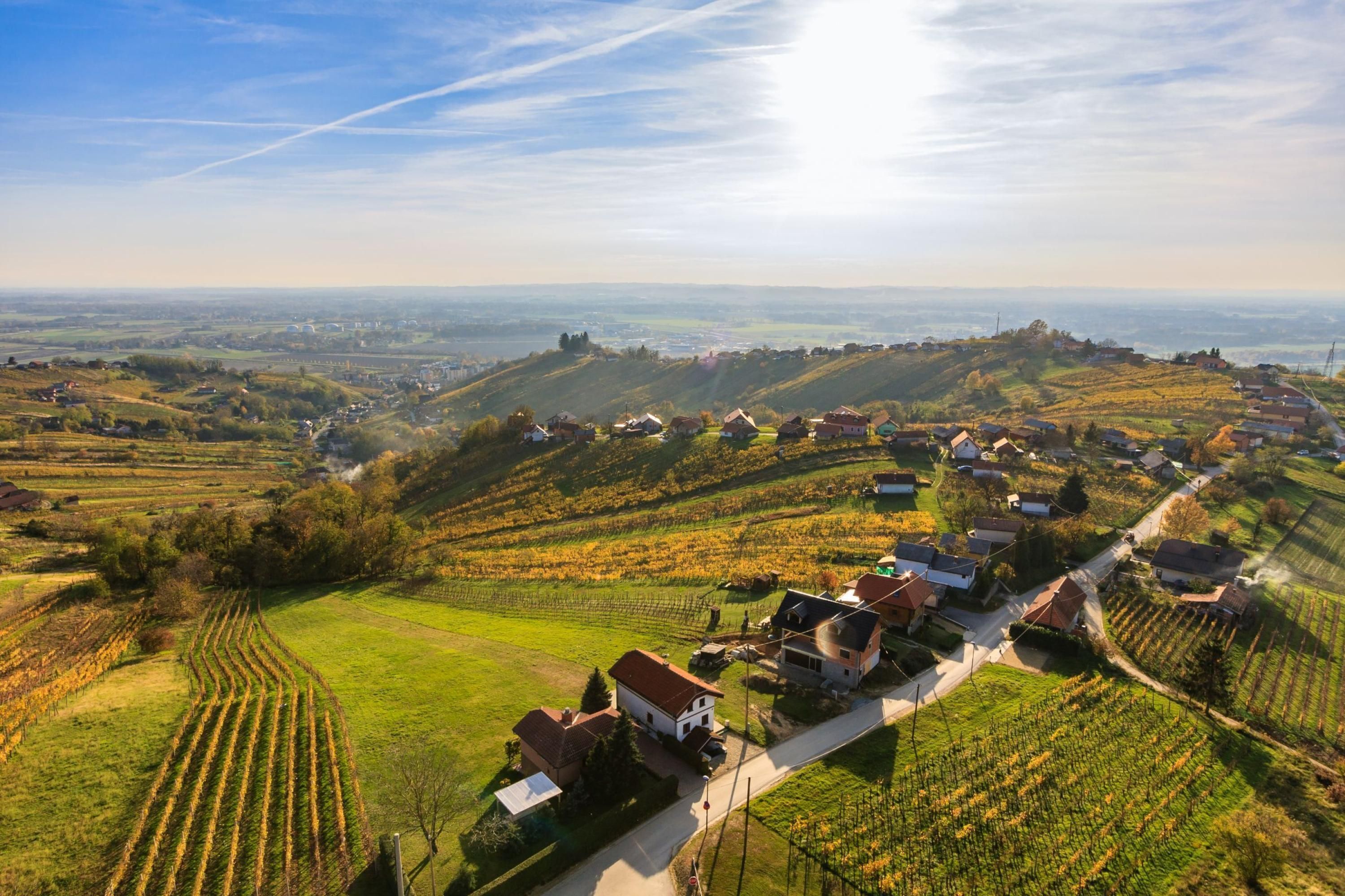 Eine Vogelperspektive auf ein ländliches Dorf mit Häusern, Weinbergen und einer gewundenen Straße.