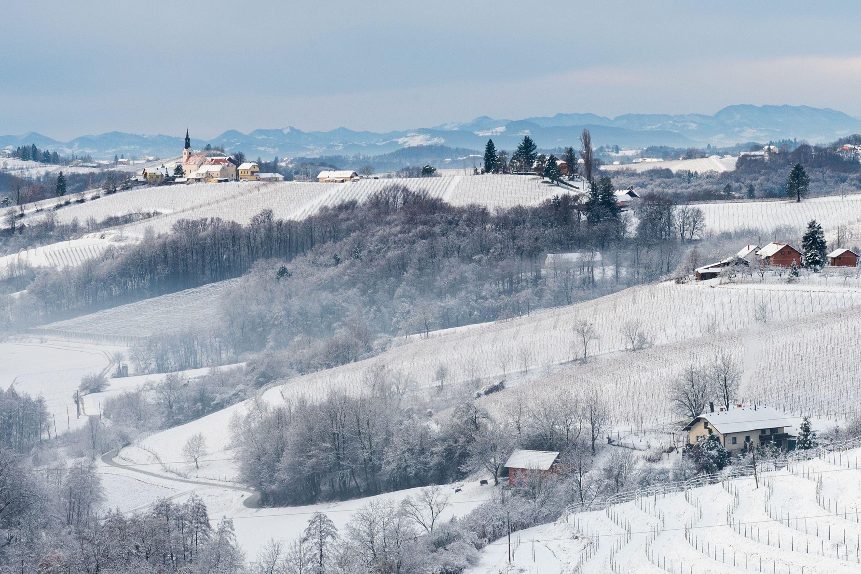 A snow-covered landscape with a church, houses, and vineyards.
