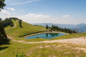 A serene lake surrounded by a grassy hill with a clear sky.