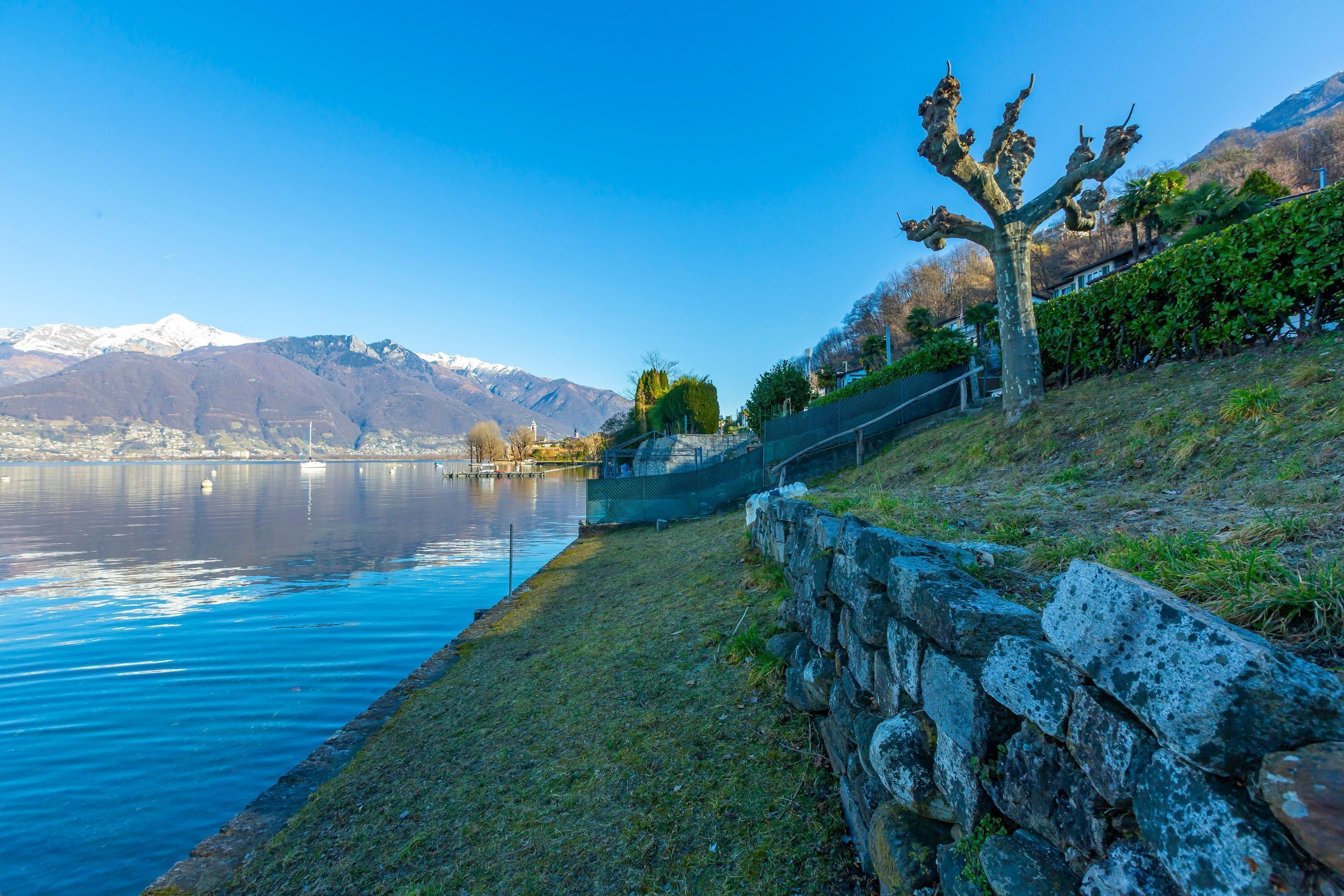A stone wall, a tree, and a body of water with mountains in the background.