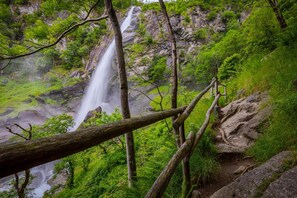 Une cascade entourée d’une végétation luxuriante et d’un paysage rocheux.