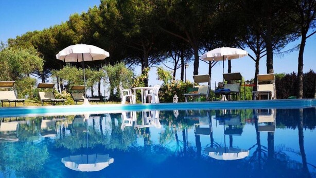A clear swimming pool with lounge chairs and umbrellas, surrounded by trees. - Pomegranate apt With Shared Pool (Castiglione del Lago)