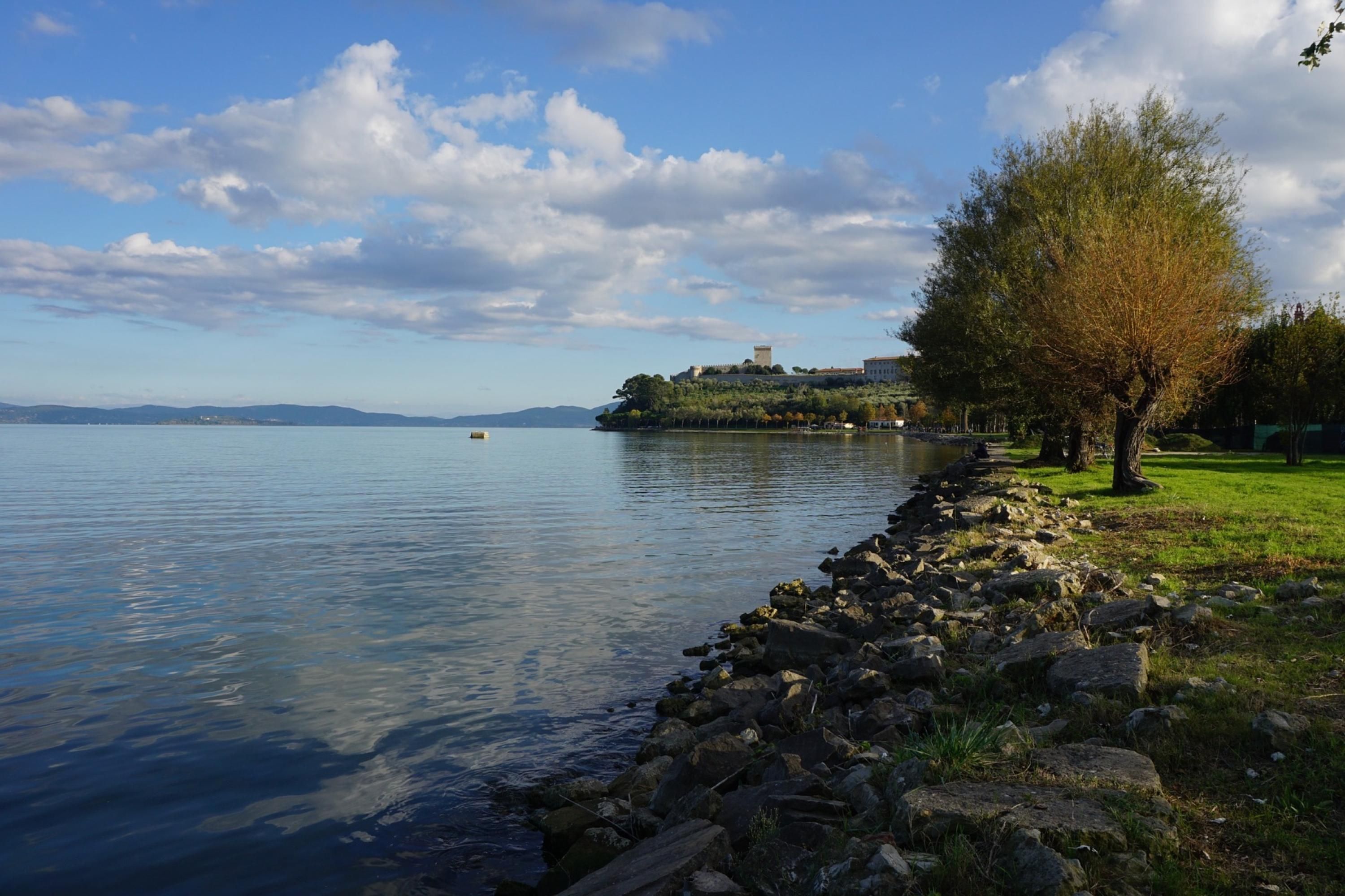A lakeside view with a rocky shoreline, a tree, and a distant building on an island.