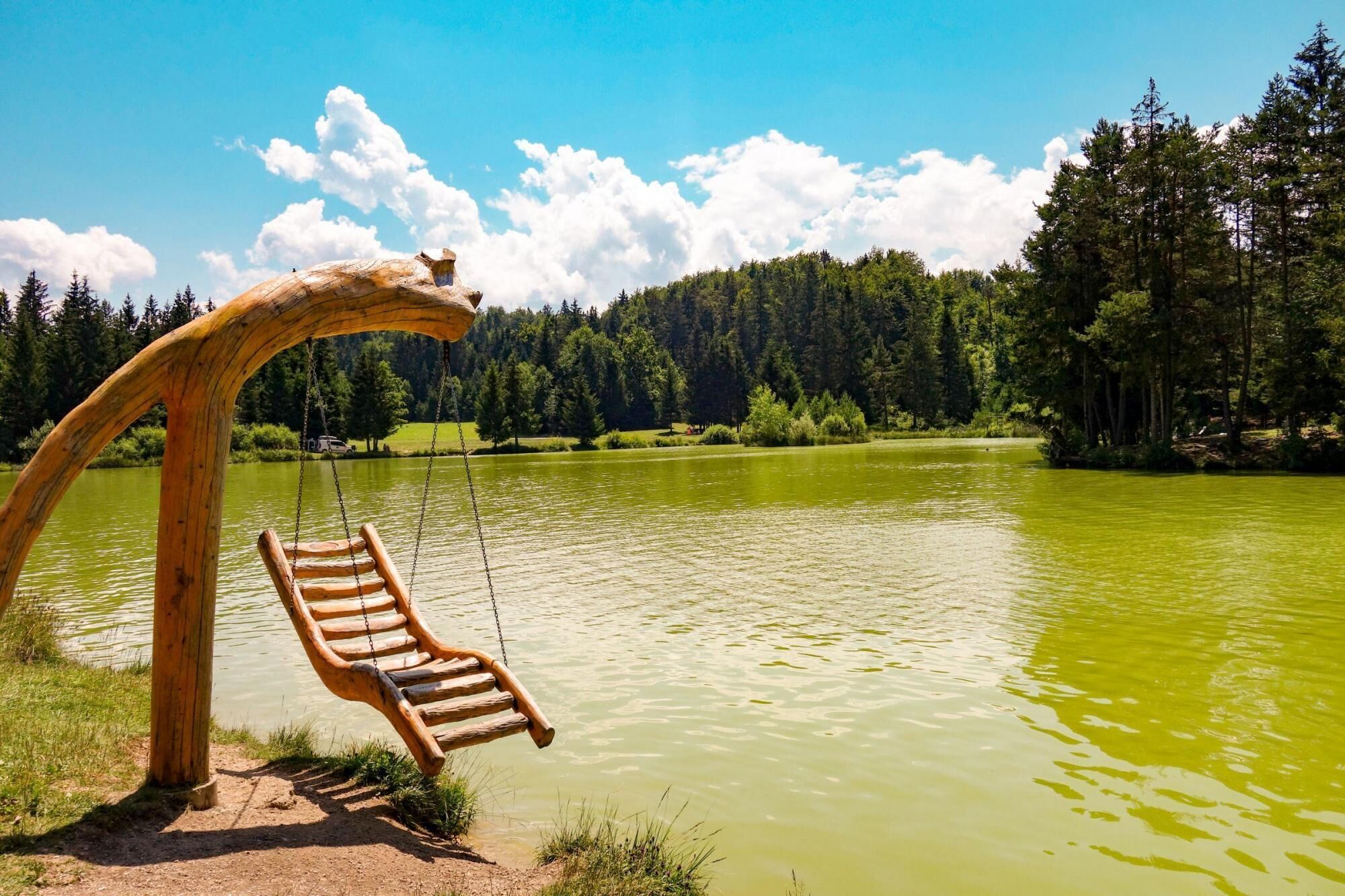A wooden swing by a lake with a forest in the background.