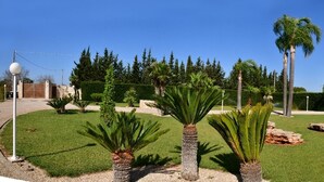 Un jardín bien cuidado con palmeras, una formación rocosa y un cielo despejado.