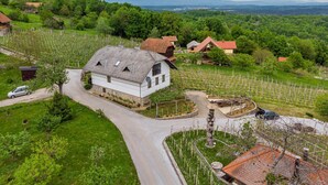 Un bâtiment blanc, doté d’un toit en pente, entouré de vignes, avec une route menant à l’entrée et un autre bâtiment visible au loin.