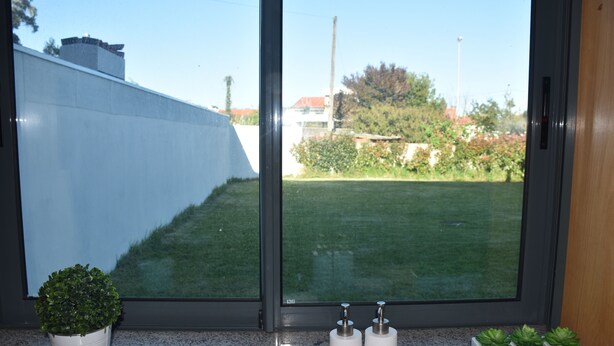 Une salle de bain avec une grande fenêtre, un lavabo et trois plantes en pot.